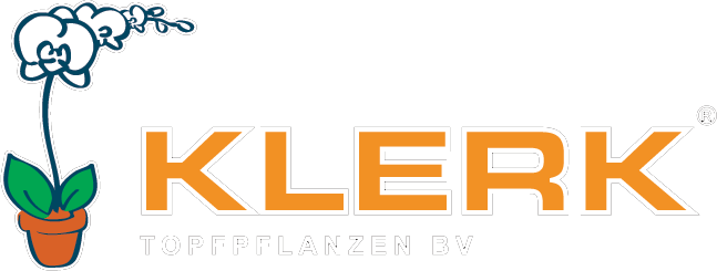 Klerk Topfpflanzen